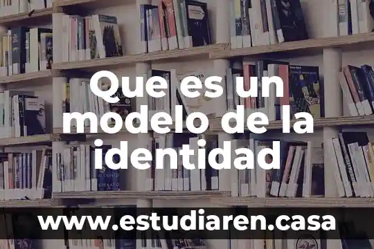 Que es un ensayo de identidad quimica 7 Que es un modelo de la identidad