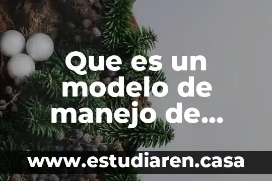 Que es un modelo de manejo de informacion
