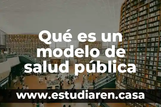 Modelo de negocio sva que es sva 4 QuĂ© es un modelo de salud pĂșblica