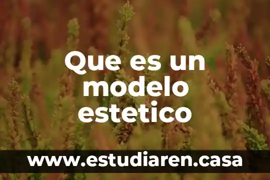 Que es ambiente estetico 3 Que es un modelo estetico