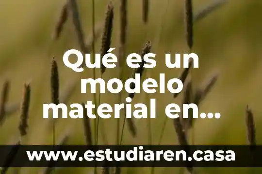 Qué es un modelo material en física y sus tipos