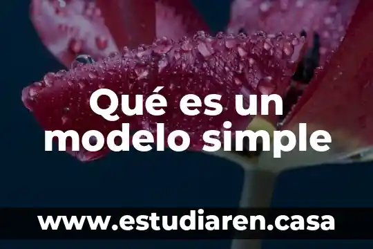 Que es un modelo operativo 3 Qué es un modelo simple