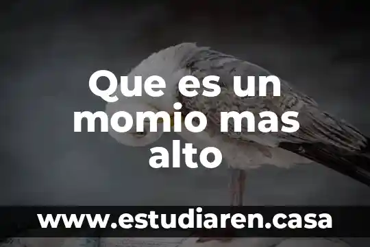 Que es un momio mas alto