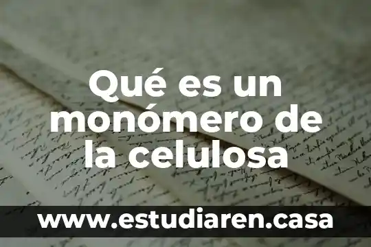 Que es agente de carga celulosa microcristalina 5 Qué es un monómero de la celulosa