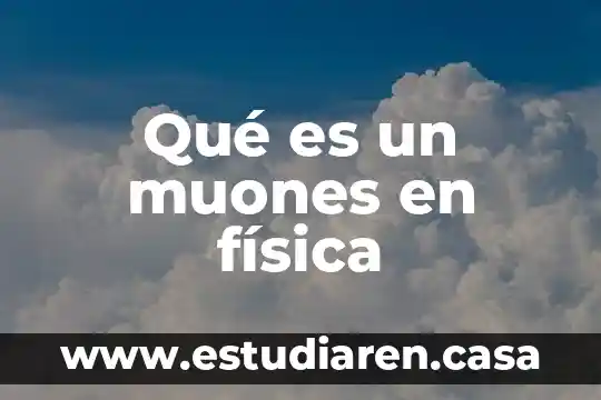 Qué es un muones en física