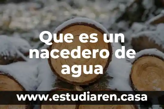 Que es un nacedero de agua