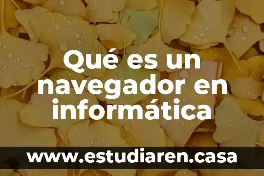 Que es un diagrama de relacion en informatica 6 Qué es un navegador en informática
