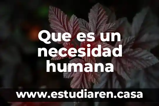 Qué es la propulsion humana 3 Que es un necesidad humana