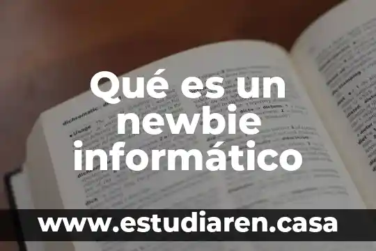 Qué es un newbie informático