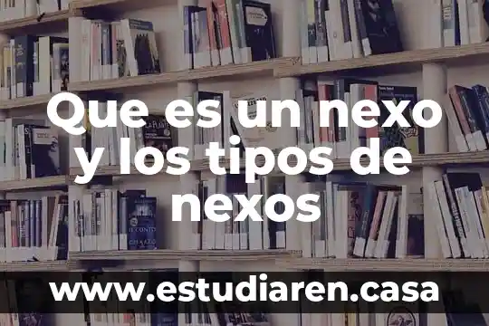 Que es un nexo y los tipos de nexos