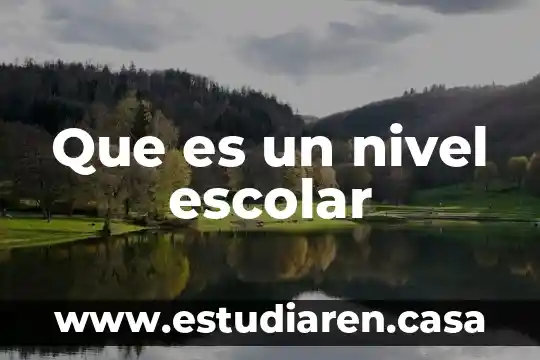 Que es un nivel erramienta 6 Que es un nivel escolar