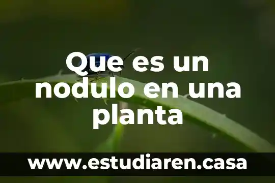 Que es un nodulo en una planta