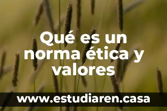 Que es una norma juridica autor lopez gutierrez 4 Qué es un norma ética y valores