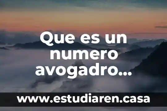 Que es un numero avogadro ejmplo