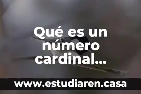 Qué es un número cardinal ejemplos