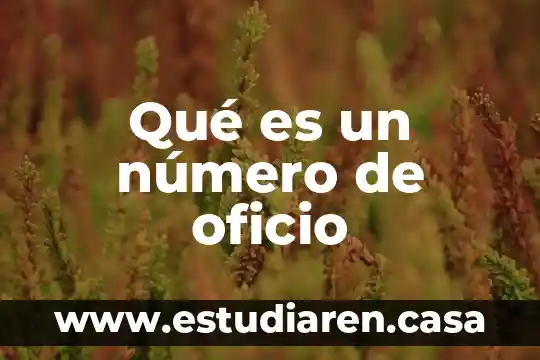 Qué es un número de oficio