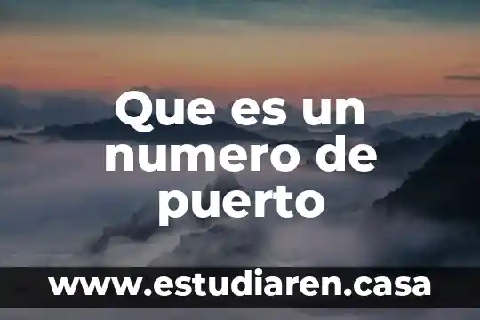 Que es un numero de puerto