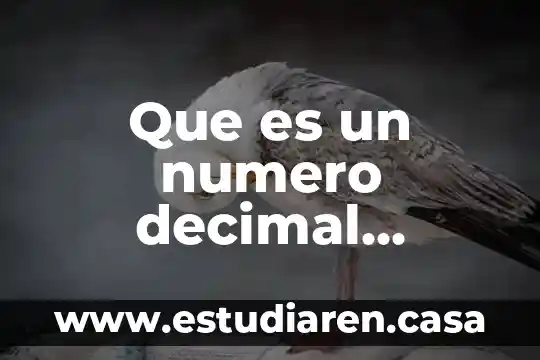 Que es un numero decimal periodico yahoo