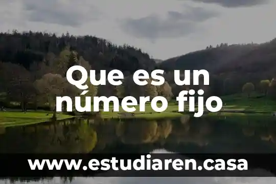 Que es adquisicion de activo fijo 7 Que es un número fijo