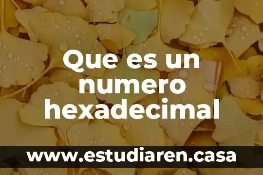 Que es un numero hexadecimal