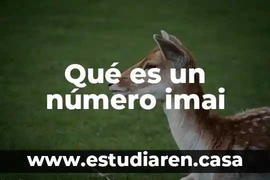 Qué es un número imai