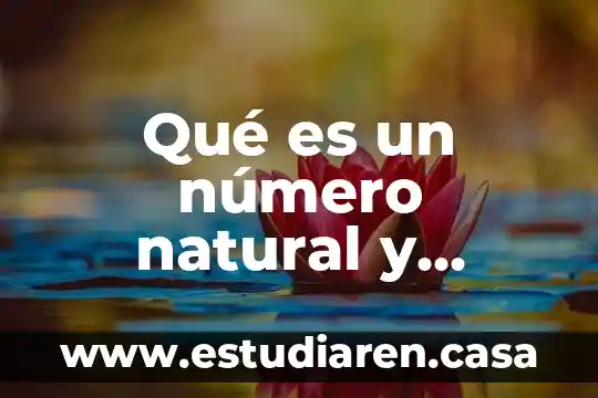 Qué es un número natural y cuantos hay