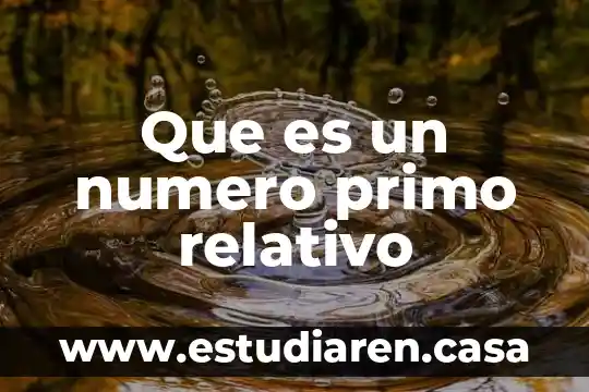 Que es un numero primo relativo