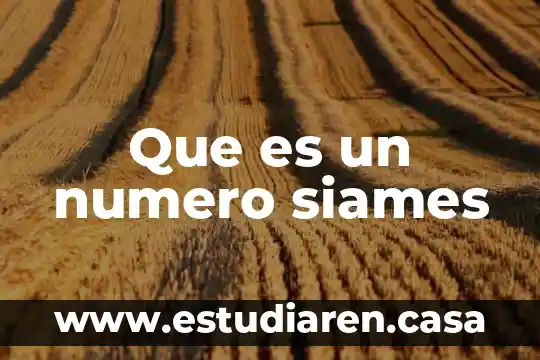 Que es un numero siames