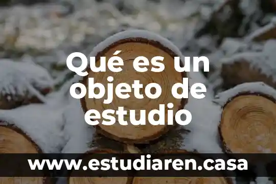Para que es el estudio amiba en fresco 4 Qué es un objeto de estudio