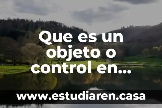 Que es un objeto o control en visual basic