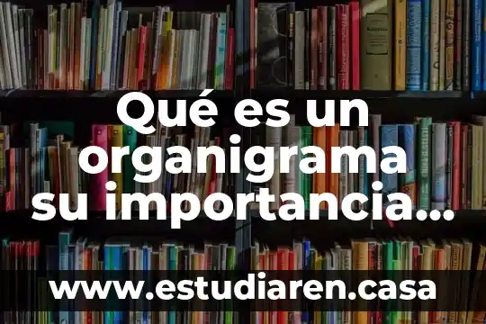 Qué es un organigrama su importancia y sus tipos