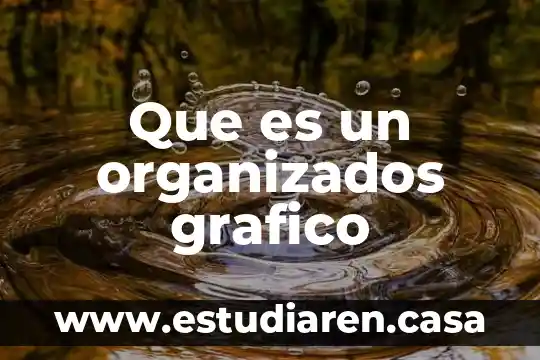 Que es xilografía en diseño gráfico 8 Que es un organizados grafico