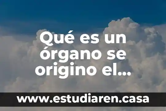Qué es un órgano tejido en los seres vivos 4 Qué es un órgano se origino el tráfico de órganos