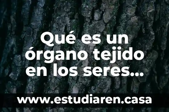 Qué es un órgano se origino el tráfico de órganos 3 Qué es un órgano tejido en los seres vivos