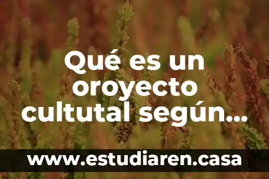 Qué es un oroyecto cultutal según autires