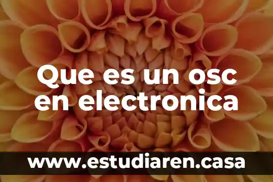 Que es un osc en electronica