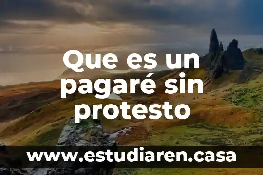 Que es mejor pagare o cedes en banamex 6 Que es un pagaré sin protesto