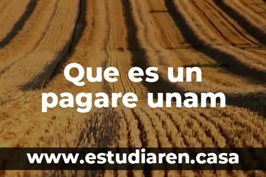 Qué es un enlace metálico UNAM 7 Que es un pagare unam