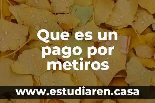 Que es pago bloqueado 6 Que es un pago por metiros