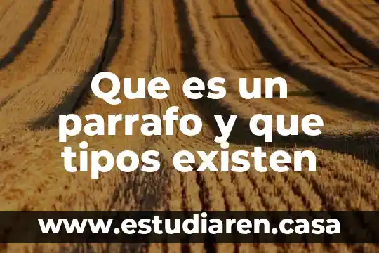 Que es un parrafo y que tipos existen