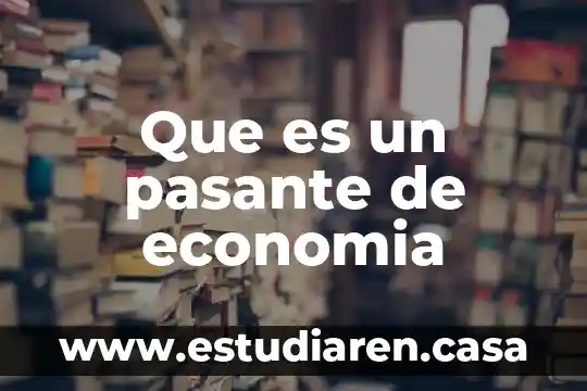 Que es un pasante de economia