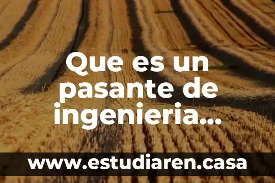 Qué es el celofán y sus características 8 Que es un pasante de ingenieria quimica