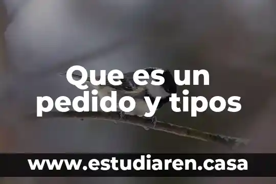 Que es un pedido y tipos