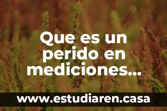 Qué es el KPS en celdas eléctricas 4 Que es un perido en mediciones electricas