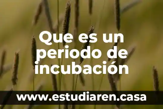 Que es modo de incubacion 4 Que es un periodo de incubación
