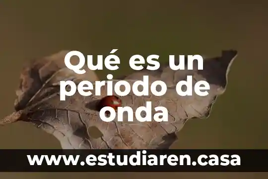 Que es periodo de enfermedad 5 Qué es un periodo de onda