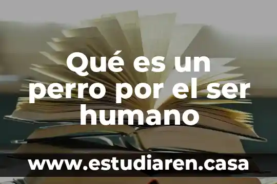 Qué es un perro por el ser humano