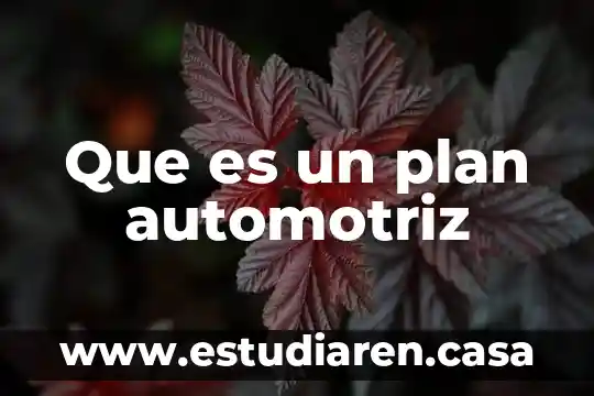 Que es lo que hace un hostess automotriz 4 Que es un plan automotriz