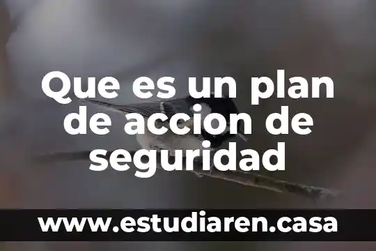 Quimicamente que es el resistol 4 Que es un plan de accion de seguridad