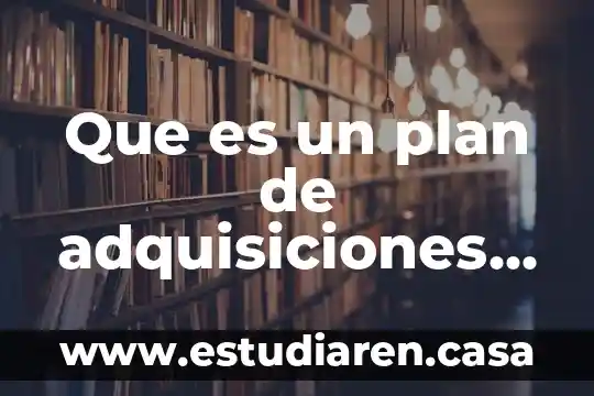 Que es el mercado de bienes interno 8 Que es un plan de adquisiciones de bienes y servicios